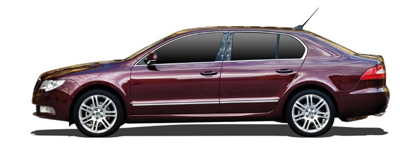 SKODA SUPERB II Einspritzdusen