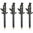 4x INJEKTOR BOSCH 0445110259 CITROEN C3 C4 C5 1.6 HDi FORD FOCUS II 1.6 TDCi
