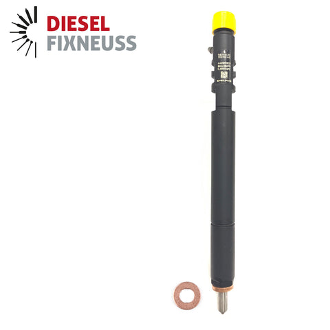 A6650170121 Common Rail Diesel Fuel Injector EJBR02601Z for Delphi Kyron